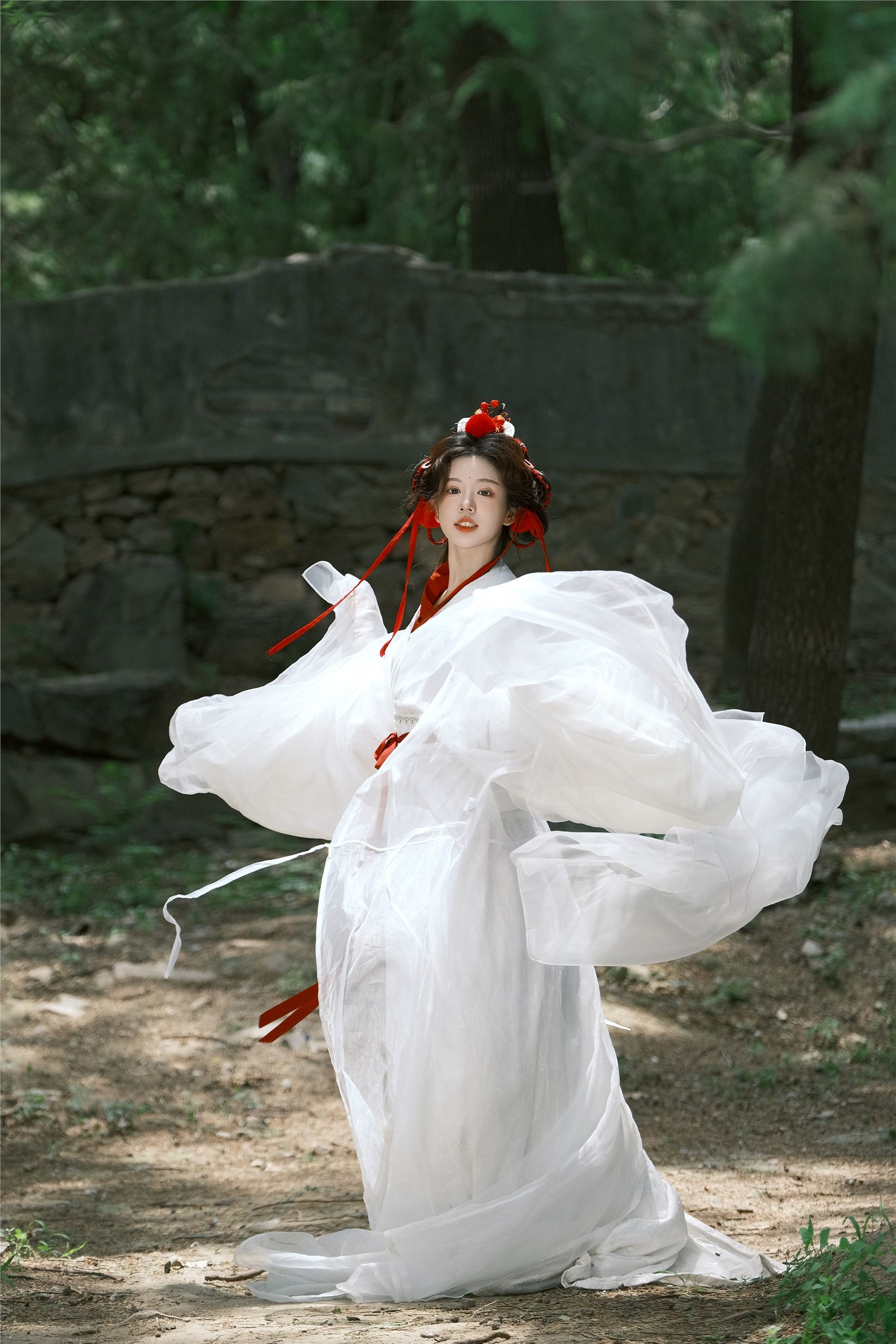 YITUYU艺图语 2025.02.05 鹤 整整